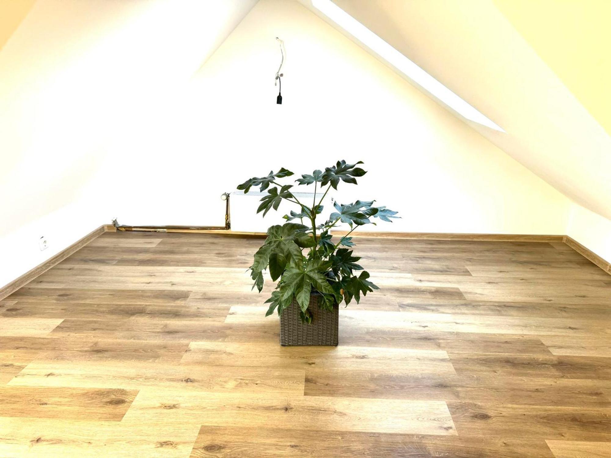 Ferienhaus Dierdorf 외부 사진